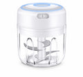 USB Rechargeable Mini Electric Garlic & Vegetable Chopper | TIKA