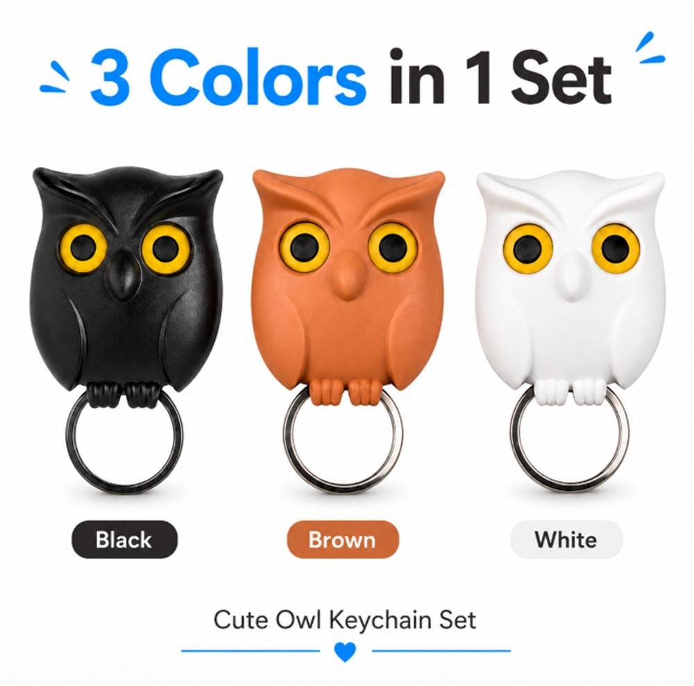 3-Piece Owl Key Hanger Set with Moving Eyes | TIKA
