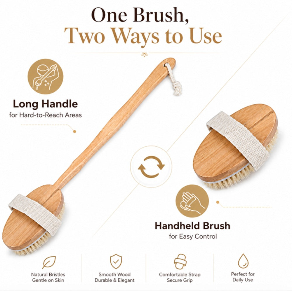 Wooden Natural Bristle Body and Back Brush | TIKA