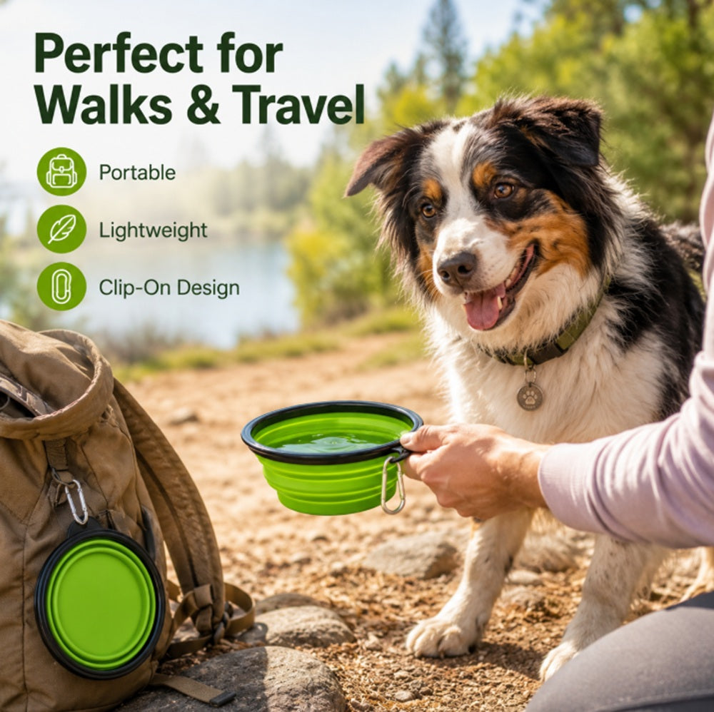 Collapsible Slow Feeder Bowl for Dogs & Cats | TIKA
