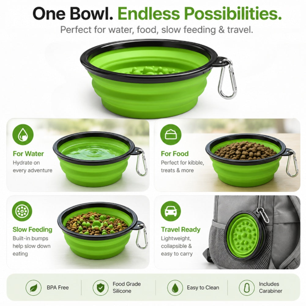 Collapsible Slow Feeder Bowl for Dogs & Cats | TIKA