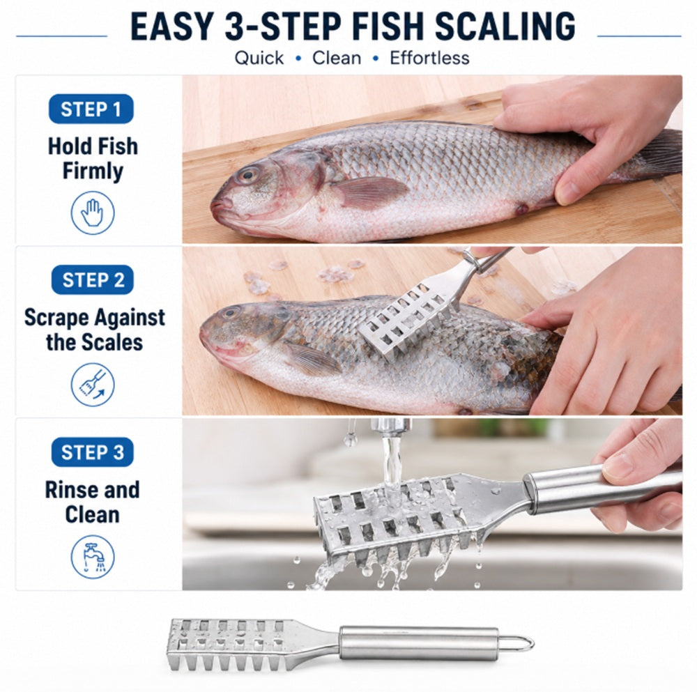 Stainless Steel Fish Scaler Brush & Seafood Cleaning Scraper | TIKA
