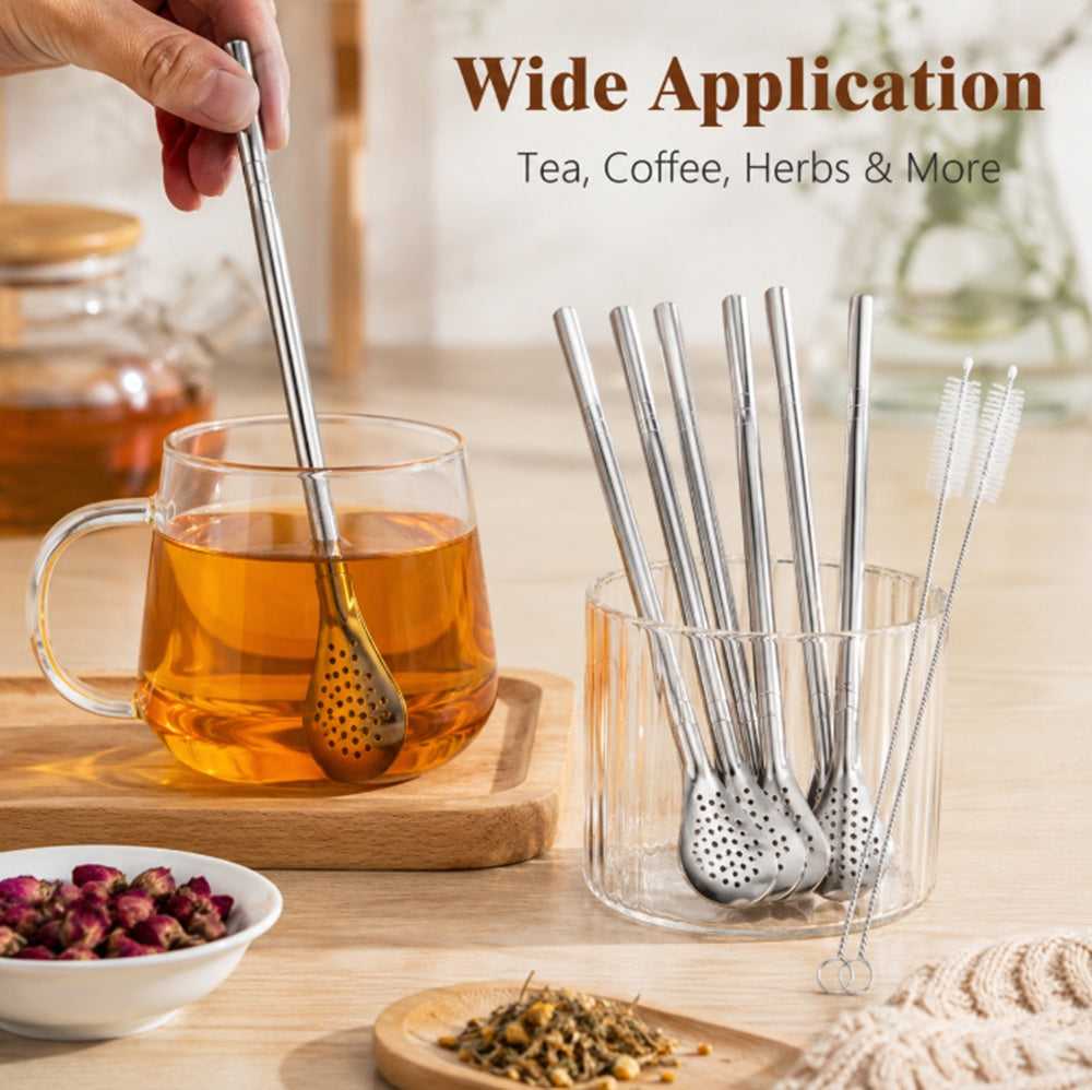 6-Pack Stainless Steel Reusable Drinking Straws with Filter Spoon & Brush | TIKA