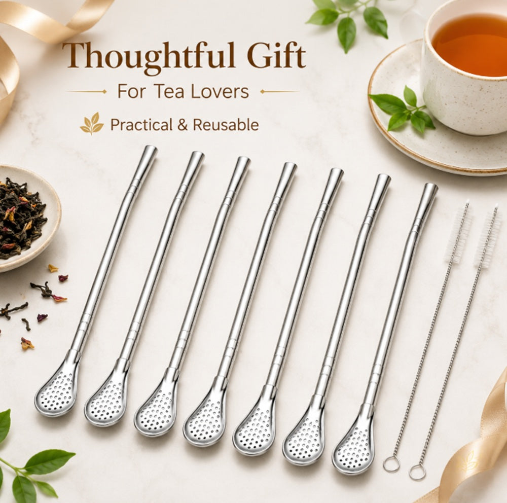 6-Pack Stainless Steel Reusable Drinking Straws with Filter Spoon & Brush | TIKA