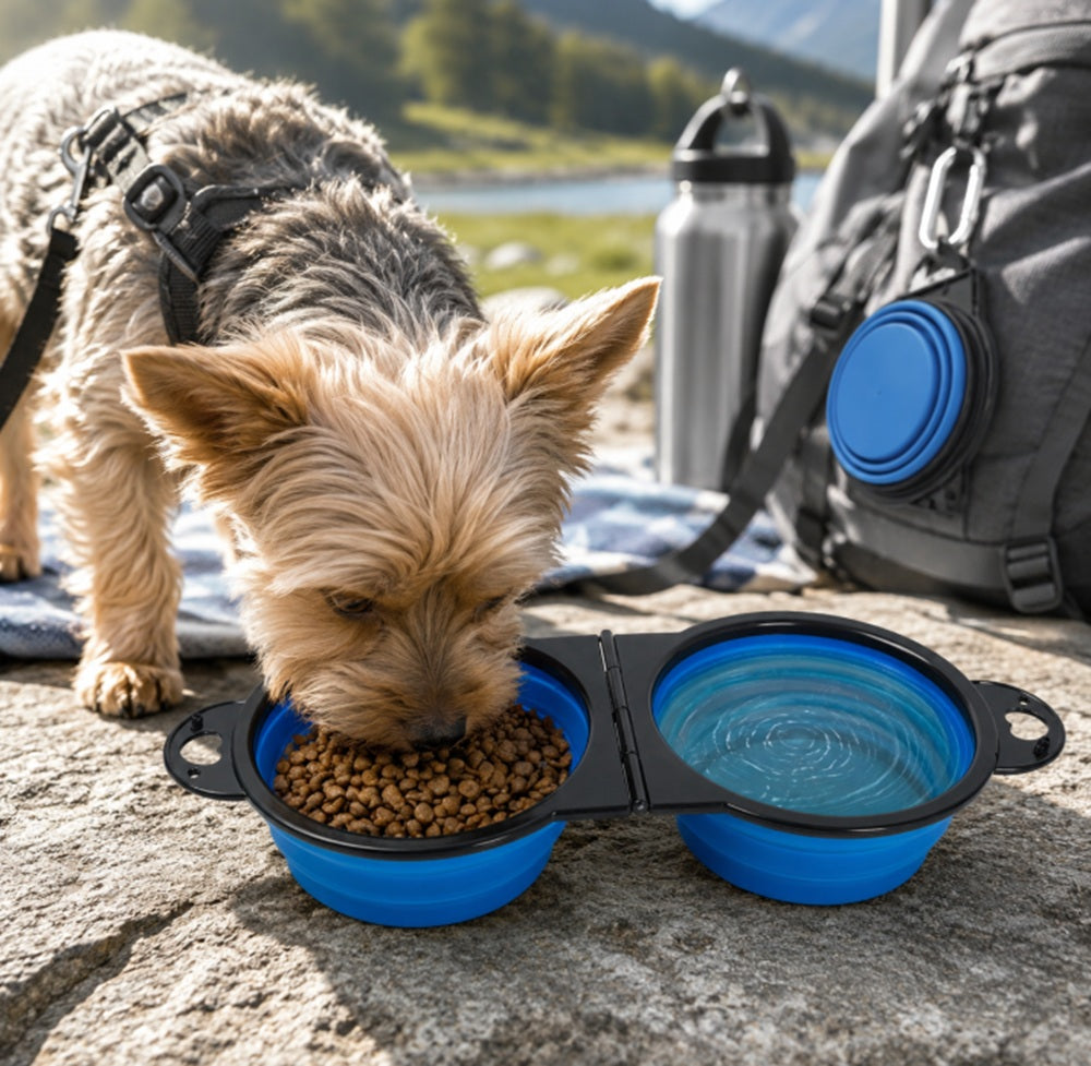 2-in-1 Collapsible Silicone Dog Food & Water Bowl Set | TIKA