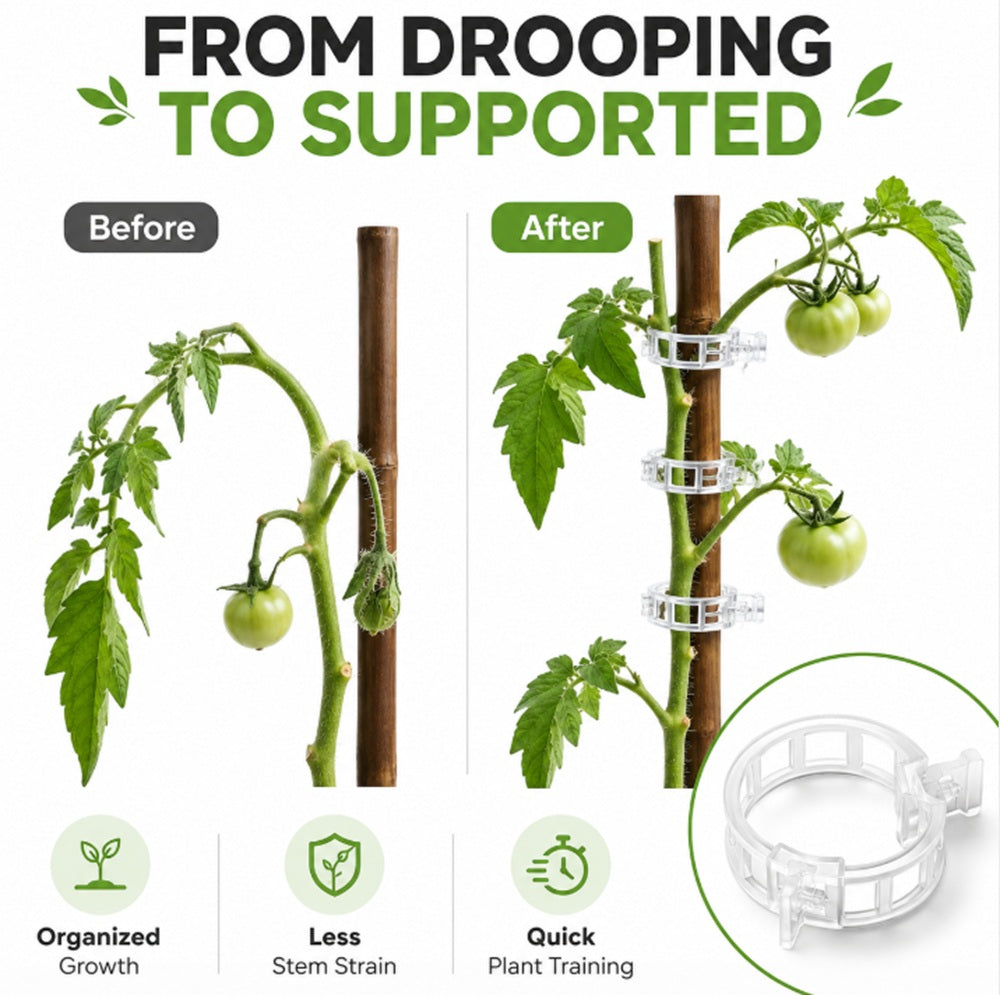 100-Pack Plant Trellis Clips for Tomatoes & Vines | TIKA