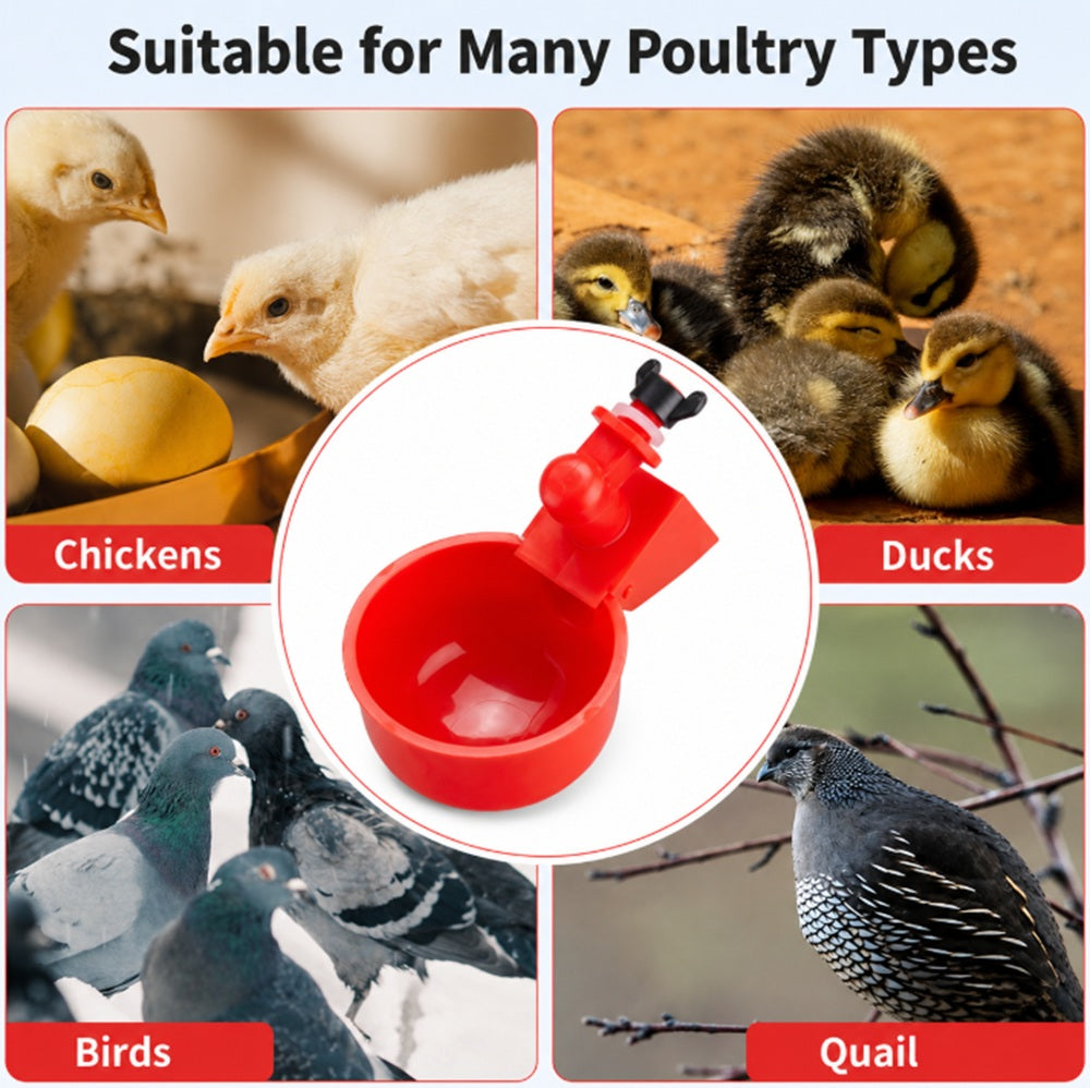 6-Pack Automatic Chicken Waterer Cups | TIKA