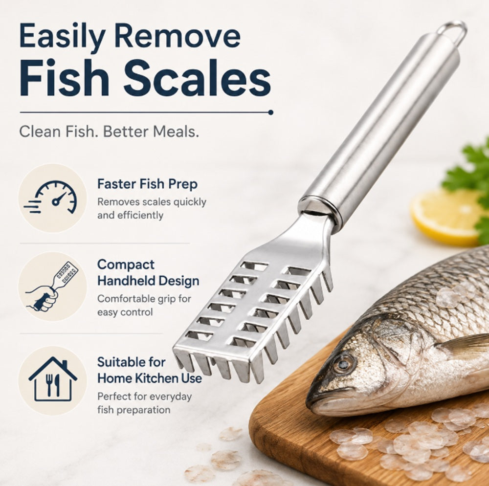 Stainless Steel Fish Scaler Brush & Seafood Cleaning Scraper | TIKA