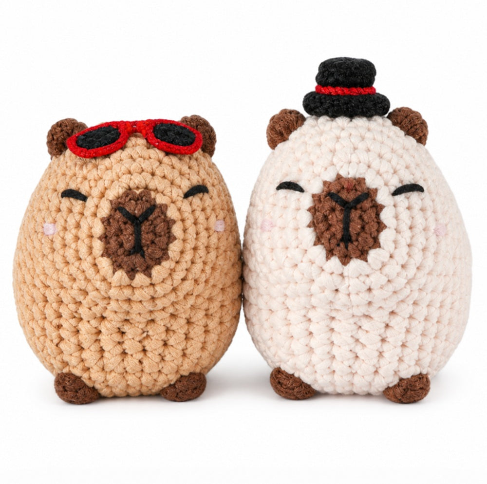 Capybara Crochet Kit for Beginners, 2 Pack with Video Tutorials – TIKA