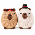 Capybara Crochet Kit for Beginners, 2 Pack with Video Tutorials – TIKA